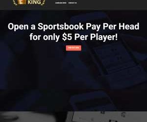 PayPerHeadKing.com