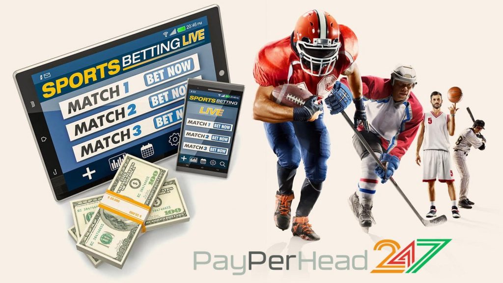 PayPerHead 247 LIve Betting