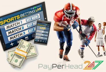 PayPerHead 247 Bookie Software