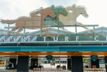 Horse Owners Affected by Singapore Turf Club Closure